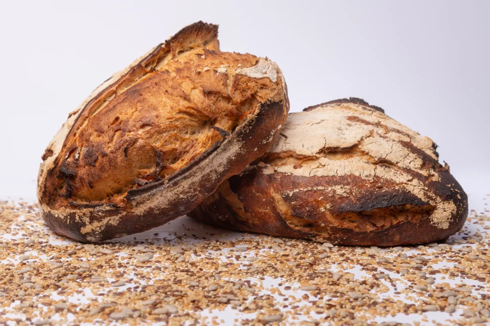 Menu du soir au Cassis Restaurant à Mâcon